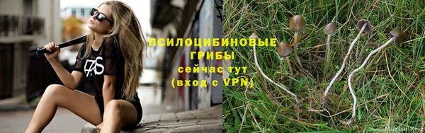 ALPHA PVP Балабаново