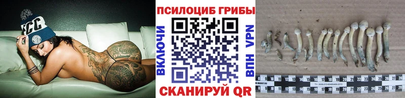 Псилоцибиновые грибы Magic Shrooms  Тулун 