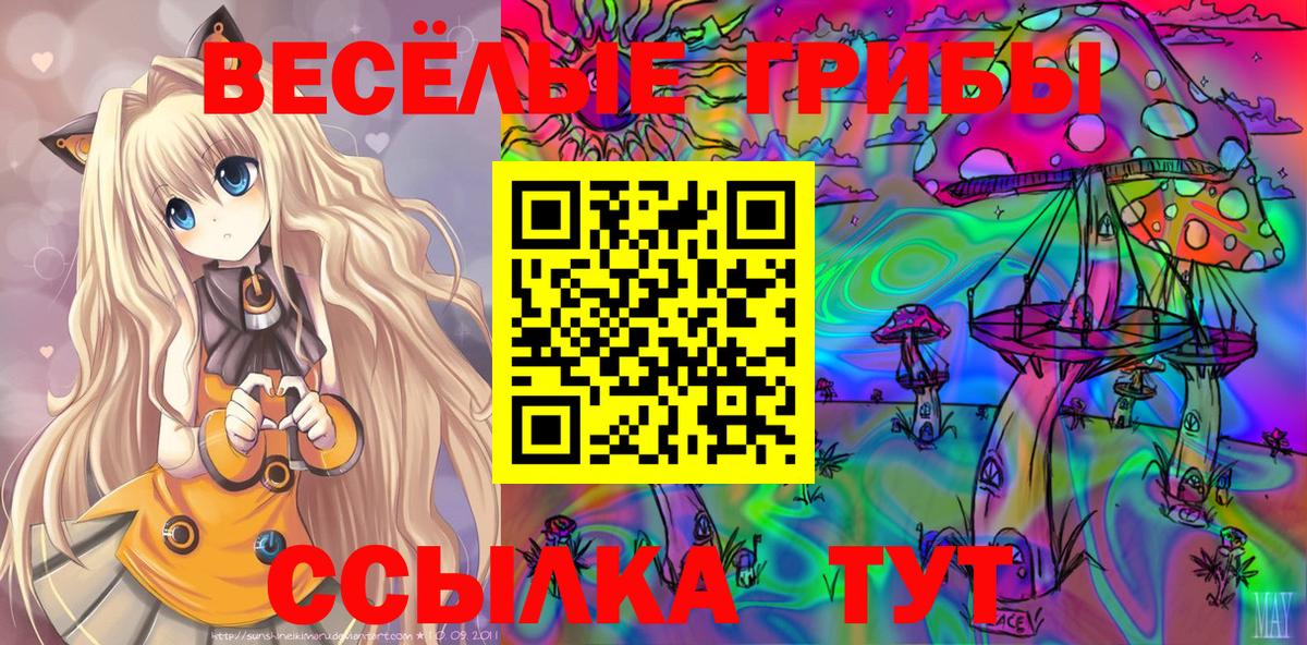 Тулун  Галлюциногенные грибы мицелий  Вход с VPN 